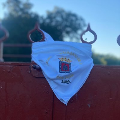 Meseocurrepa's profile picture. 