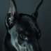 Doberman (@doberman961) Twitter profile photo Doberman (@doberman961) Twitter profile photo