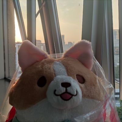 yyxinjiekawaii's profile picture. 11111