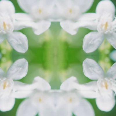 無言フォロー、イイね失礼します。ほとんど呟きませんが、共感や応援、たくさんの愛を込めて全力でイイねしてます👍高1次男も立派なJAM’S🍏親子参戦🌼.フォロバは同年代の大人JAM’Sさん、女性の方メインでさせて頂いてます。