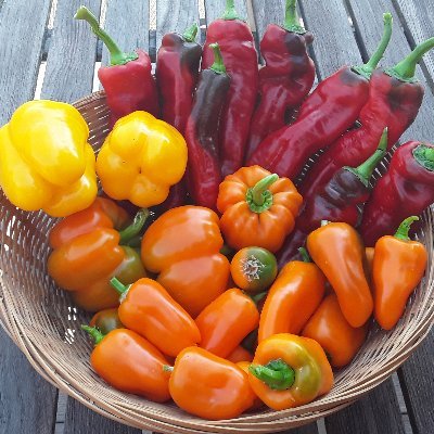 lochtingske's profile picture. Geen interactie meer op dit propagandakanaal voor extreemrechts, wappen en andere idioten.
Wel: @Guy_VO@mastodon-belgium.be