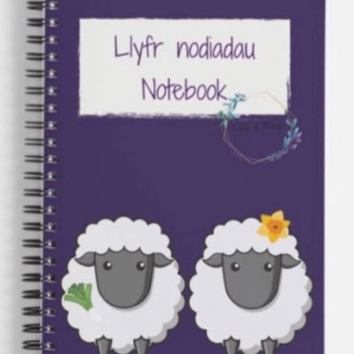 Llyfr nodiadau i ddsygwyr Gymraeg! A notebook for Welsh learners