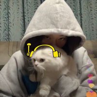 rawr (@seulvester) 's Twitter Profile
