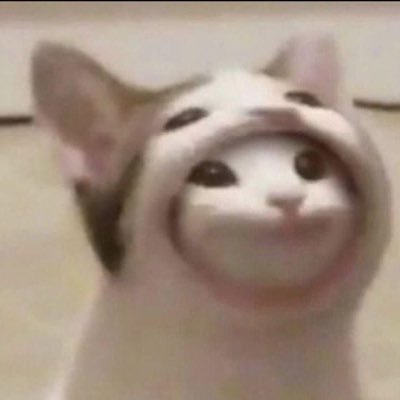 f0il3tor's profile picture. เปนนางเงือกติดปีก 🧚🏻‍♀️