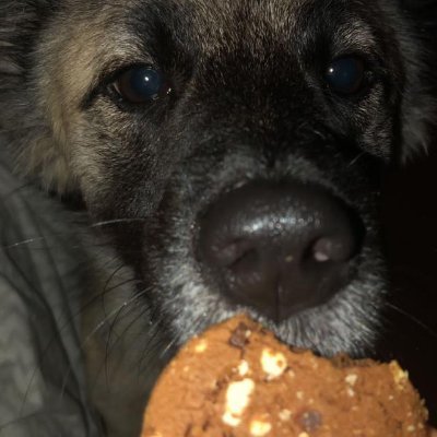 RossyMorales20's profile picture. 