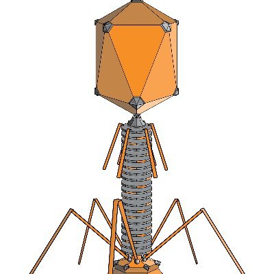 Phage Kenya Profile
