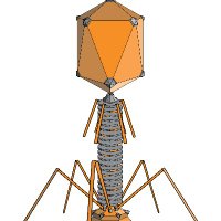 Phage Kenya (@phagekenya) 's Twitter Profile Photo Phage Kenya (@phagekenya) 's Twitter Profile Photo