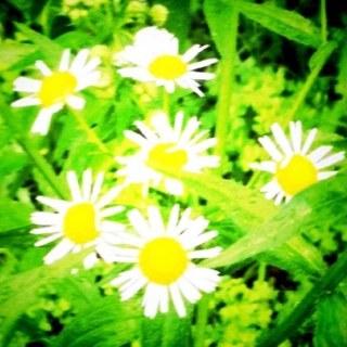 selfcare_'s profile picture. 様々な健康に関するセルフケアの方法をbot形式でご紹介します。各ポストについての詳細は各々のリンクをご参照下さい。内容についてのご質問等はそのリンク元へお願いします。