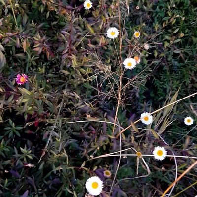 tutirhma's profile picture. 