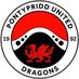 Pontypridd United Academy (@PontyUnitedA) Twitter profile photo
