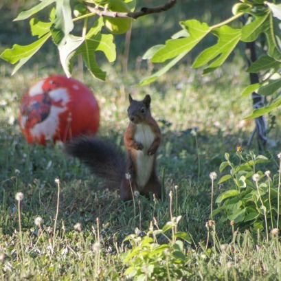 xolivereviloy's profile picture. Amateur programmer but professional copy-paster.
There are 10 kind of people: who can read binary number system and who can't.