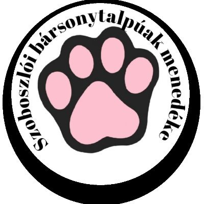 Cat shelter: We rescue wounded and ill kittens born on the street, we provide temporary shelter
Pay/pal:
https://t.co/iZPUhBMqqT