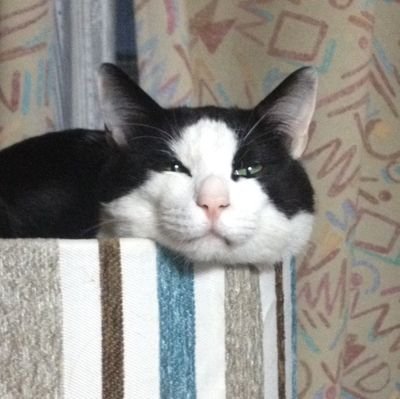 あいこさんのプロフィール画像