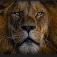 Donzi Light (@don__lea16) 's Twitter Profile
