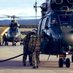 Tactical Supply Wing (@tacticalsupwing) Twitter profile photo Tactical Supply Wing (@tacticalsupwing) Twitter profile photo