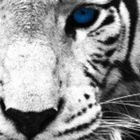 JOSE B (@68josefrankb) 's Twitter Profile