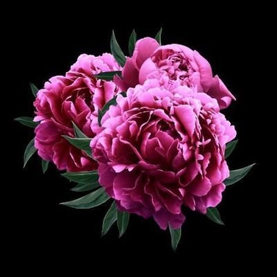 PhileOpacaro's profile picture. 𝐹𝒾𝑒𝓇𝓎 𝓂𝒾𝓍 𝑜𝒻 𝓈𝑒𝓃𝓈𝒾𝓉𝒾𝓋𝒾𝓉𝓎 𝒶𝓃𝒹 𝓉𝑜𝓊𝑔𝒽𝓃𝑒𝓈𝓈