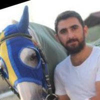 Mehmet Yavuz Kılınç (@mehmetyavuzkln6) 's Twitter Profile