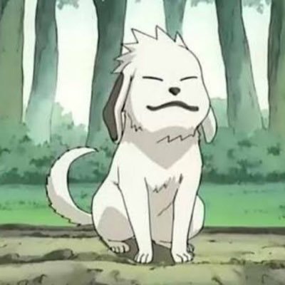 お取引用アカウント//成人済み//本垢提示可//取引終了後DM･ポスト等削除しております。//ポスト内容お読みになられてないものはお返事しない場合があります。//現場予定💌→10/11.12.19.26.27.31、11/15.16(.30)