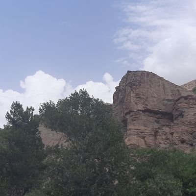 solmaz928573161's profile picture. 