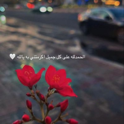 hoxo20003's profile picture. Ambitious intenional and grounded l lead withclarity and grow through learning drawing from it