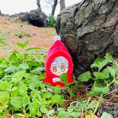 azuki_DX's profile picture. ꪔ̤̥ 붕붕빵의 감상 계정 ꪔ̤̮ 특촬보다 웹소읽음 ꪔ̤̥ 내스급(⚡🍯)+상수리(1부)+백망되 ꕤ 팔로는 자유. 썰계는 🔨Tata_azuki ꕤ 프사:우리집쪼꼬미💧