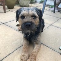 Russell (@rustynail01) 's Twitter Profile