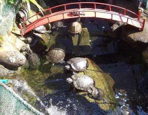 1214kamesan's profile picture. 神奈川県の足柄平野に住むモノです。 地理ネタや写真や乗り物関係、鉄道も車も興味があります。 交通観光の他に地元ネタ・時事ネタやニュース系リツイート多めです、時には苦言も吐きますがよろしく。