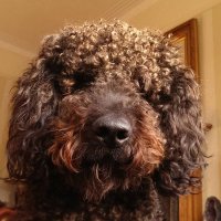 Mark H (@markhayhurst) 's Twitter Profile