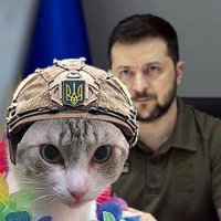 ももÏ 🇺🇦🇯🇵with Ukraine(@momostitchlove) 's Twitter Profileg