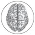 Golby Lab (@golbylab) Twitter profile photo Golby Lab (@golbylab) Twitter profile photo