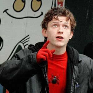 TheLastTanuki's profile picture. 