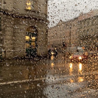 ll89el's profile picture. 