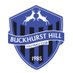Buckhurst Hill FC (@buckhursthillfc) Twitter profile photo