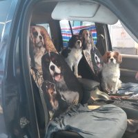 Vickie Parker (@vickiep01953934) 's Twitter Profile Photo Vickie Parker (@vickiep01953934) 's Twitter Profile Photo