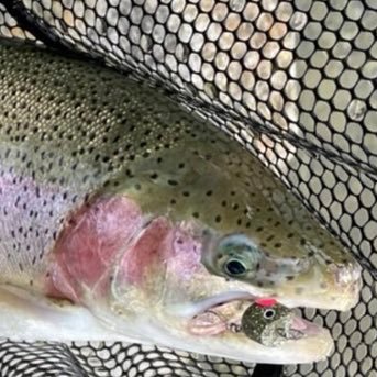 noel_jam's profile picture. エリアトラウトとバス釣りとラーメンが大好きな人間もどき/dbdではウォッシャ