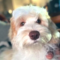 Braxton Price (@sasmbraxton) 's Twitter Profile