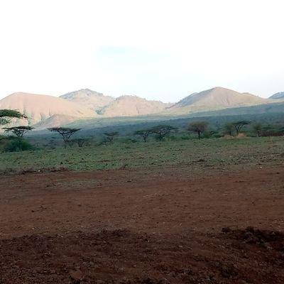 RandaniRama's profile picture. أحب السباحة والرقص والاستماع إلى المعايضة
