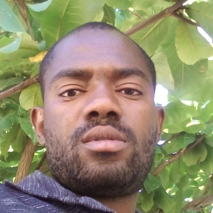 aluvinus's profile picture. God is with us every time, everywhere and for ever and ever!