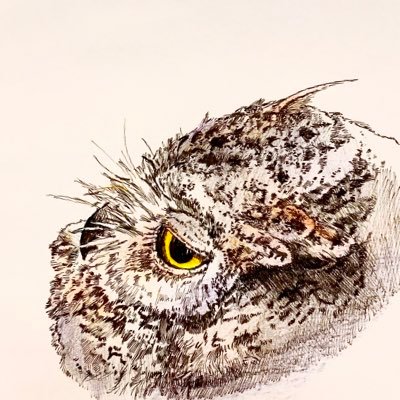 北大の森林に住んでるムキムキな🦉です。絵と写真を唐突に大量に載せます。質問とお題箱 📦→ https://t.co/05PUBOdKqu