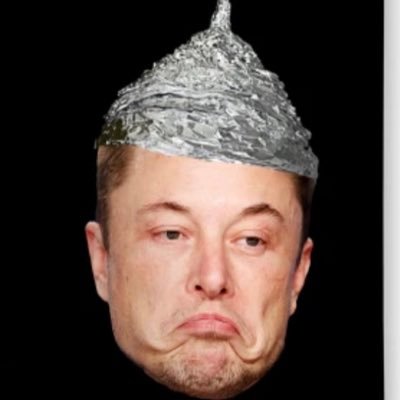 MusksTaint Profile Picture