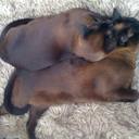 Sheena Gordon - @sgordotm - Twitter