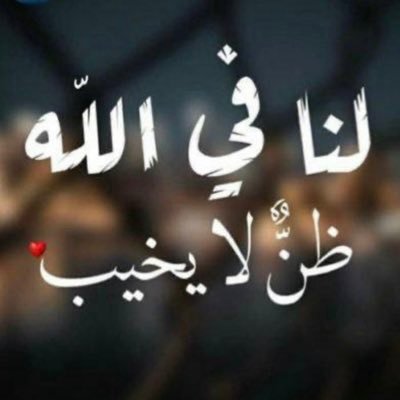 والنمر لا عدى على راس مشراف ... إن صاد سبع فالحساب متساوي