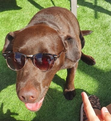 keezy185's profile picture. 