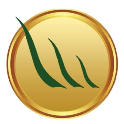 Grassmasters01's profile picture. We Are A Veteran Owned Business Serving The Whole Sate Of Arizona! We specialize in Artificial Grass for Residential, Commercial, Pets & More!