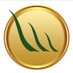 Artificial Grass Masters (@grassmasters01) Twitter profile photo Artificial Grass Masters (@grassmasters01) Twitter profile photo
