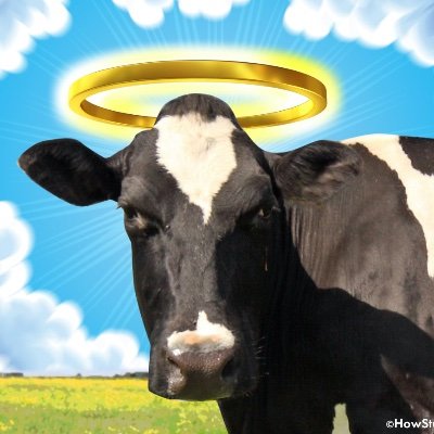 HolyCowGuys's profile picture. Our grass fed pasture raised tallow forms the base of the most nutrient dense, bioavailable, and natural skin care available.