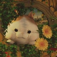 にゃんこハウジング🐾 (@nyanco_housing) 's Twitter Profile