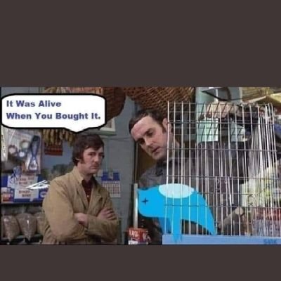 Timmywhizbang's profile picture. Making things go faster than they really should...