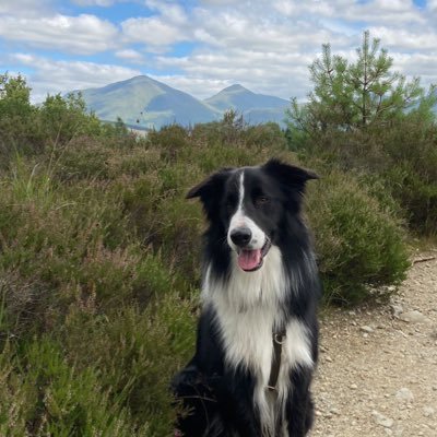 Administrator, Scottish Graduate School for Arts & Humanities @ University of Glasgow. Mum to a Border Collie. Views and posts my own.